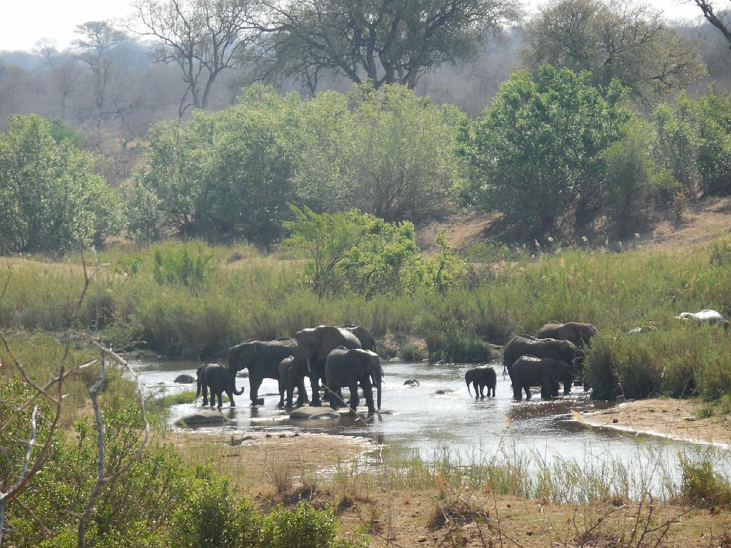 Suedafrika (225)